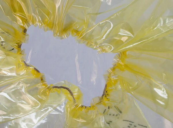 Czepek z folii VCI z