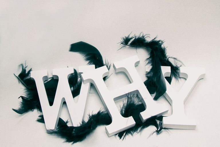 Napis "WHY" z drewnianych liter ozdobiony ciemnymi piórami